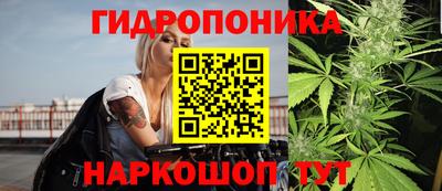 PSILOCYBIN Краснознаменск