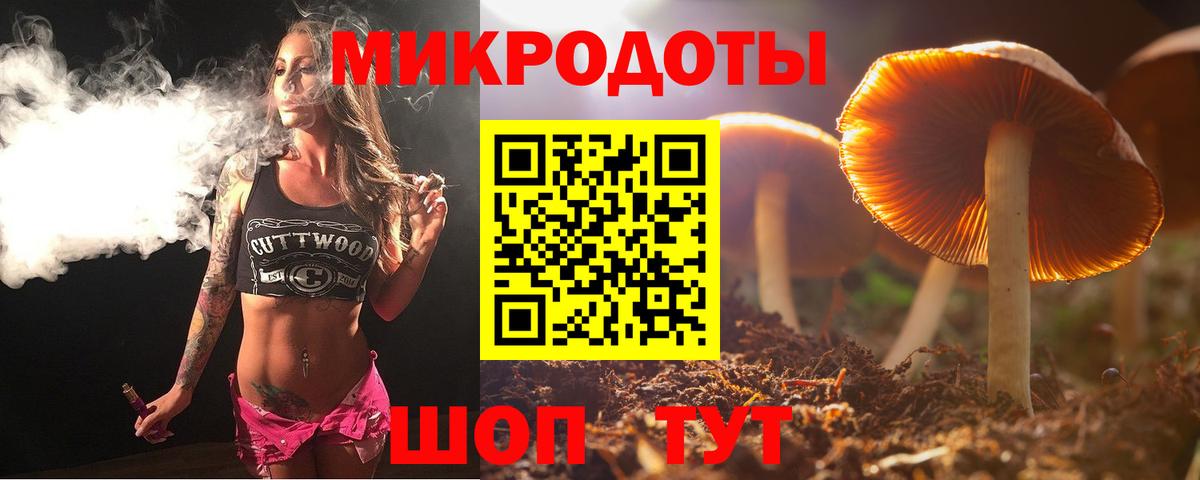 Псилоцибиновые грибы мухоморы Балашов